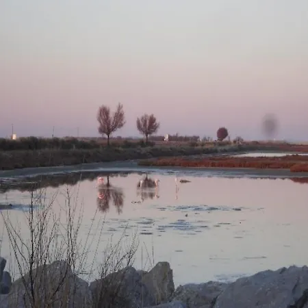 Le Courlis 1 - * Frontignan