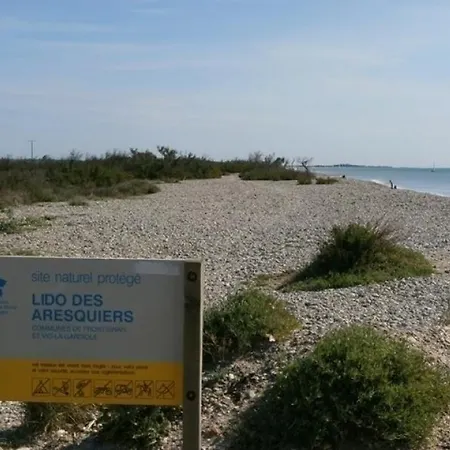 Le Courlis 1 - Frontignan